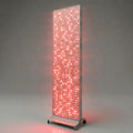 Panneau photobiomodulation 800 LED lumière rouge/infrarouge | OL800